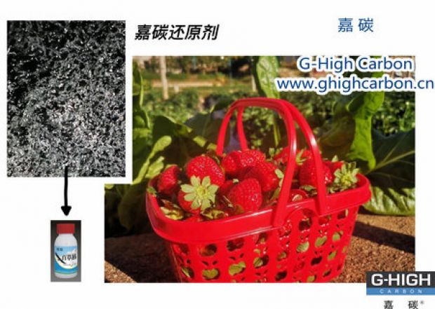 嘉碳還原劑守護“莓”好，甜蜜上線