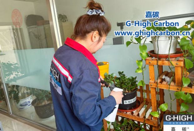 午休時光種花忙，美化辦公環(huán)境添綠意